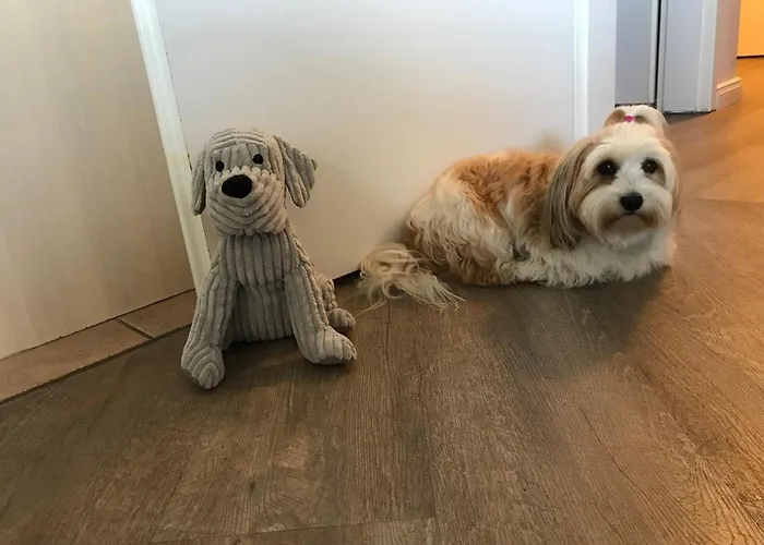 아파트 Seepark 682 Haus Moenchgut Sellin (Rugen)