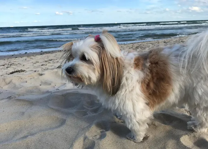 Seepark 682 Haus Moenchgut